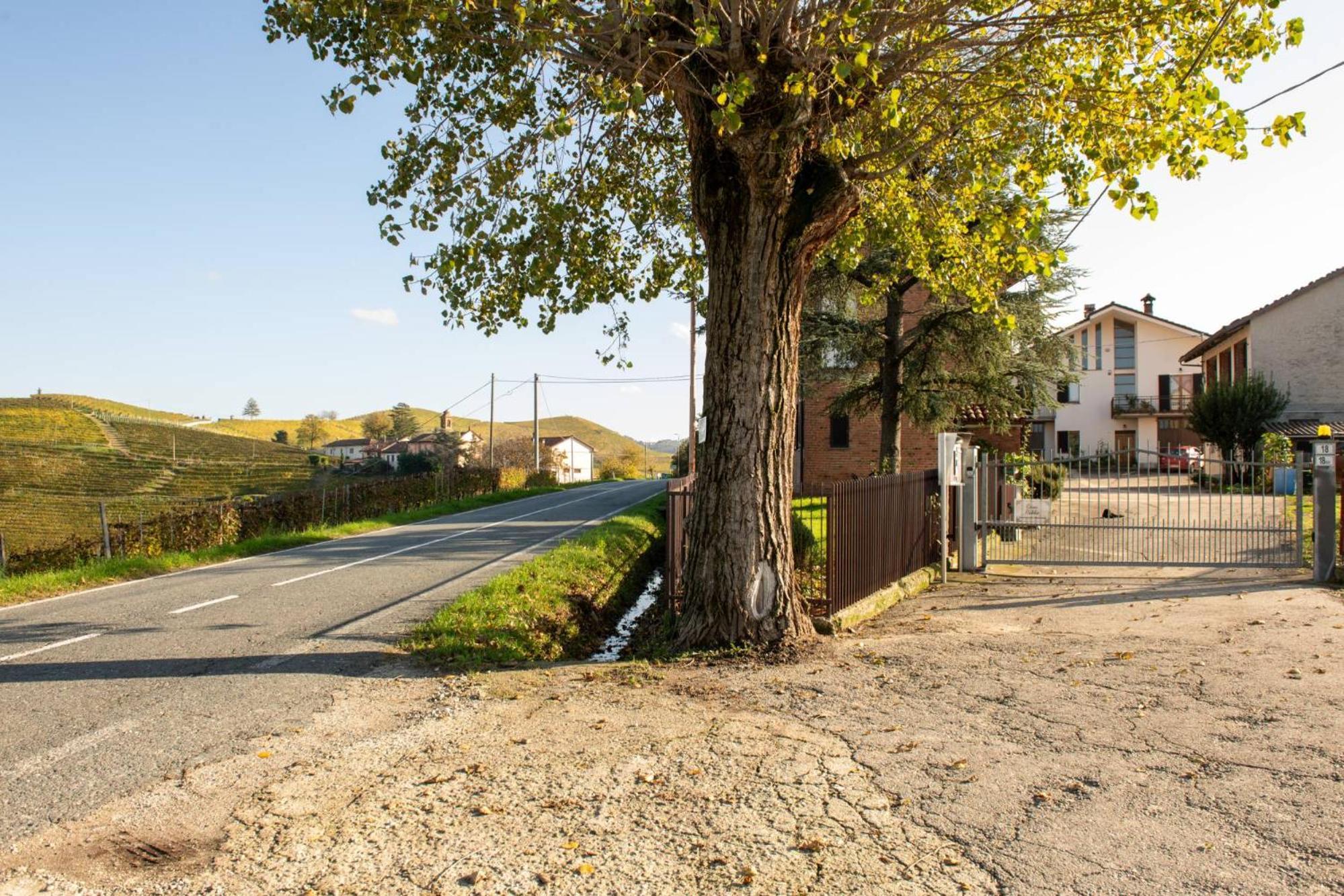 Casa Rubbo - In Collina 'monviso' Alba (Piedmont)